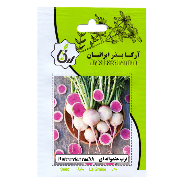 بذر ترب هندوانه ای آرکا بذر ایرانیان کد ARK-205 بذر ترب هندوانه ای آرکا بذر ایرانیان کد ARK-205