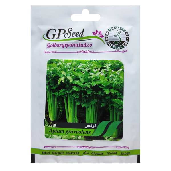 بذر کرفس گلبرگ پامچال کد GPF-157 بذر کرفس گلبرگ پامچال کد GPF-157