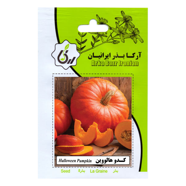 بذر کدو هالووین آرکا بذر ایرانیان کد ARK-125 بذر کدو هالووین آرکا بذر ایرانیان کد ARK-125
