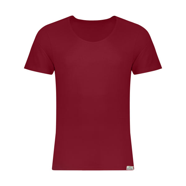 زیرپوش مردانه برهان تن پوش مدل 4-02 زیرپوش مردانه برهان تن پوش مدل 4-02