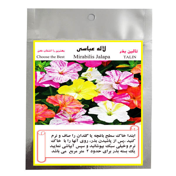 بذر گل لاله عباسی تالین بذر مدل BZT-1023 بذر گل لاله عباسی تالین بذر مدل BZT-1023