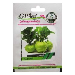 بذر کلم قمری گلبرگ پامچال کد GPF-128