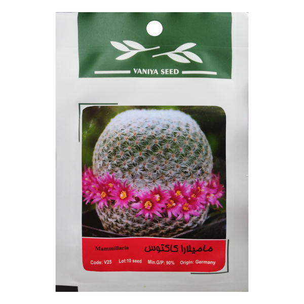 بذر کاکتوس مامیلاریا وانیا سید مدل V25 بذر کاکتوس مامیلاریا وانیا سید مدل V25