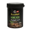 گیاه طبیعی سانسوریا گلدن هانی مدل A-16