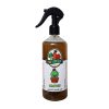 گیاه طبیعی کالیسیا مدل C-45