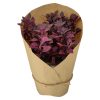 اره همه کاره باهکو مدل PC-6-DRY اره همه کاره باهکو مدل PC-6-DRY