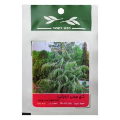 بذر بنسای کاج جونی اروپایی وانیا سید مدل N36