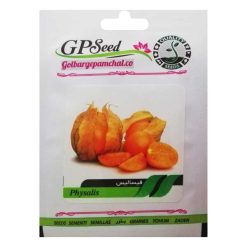 بذر فیسالیس گلبرگ پامچال کد GPF-162