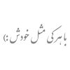 محافظ ضد سرقت درب خودرو مدل 55 سانتی بسته 2 عددی