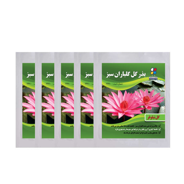 بذر گل نیلوفر گلباران سبز گیلان مدل GN5 بسته 5 عددی بذر گل نیلوفر گلباران سبز گیلان مدل GN5 بسته 5 عددی