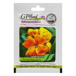بذر گل شب بو زعفرانی گلبرگ پامچال کد GPF-059