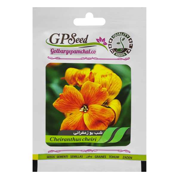 بذر گل شب بو زعفرانی گلبرگ پامچال کد GPF-059 بذر گل شب بو زعفرانی گلبرگ پامچال کد GPF-059