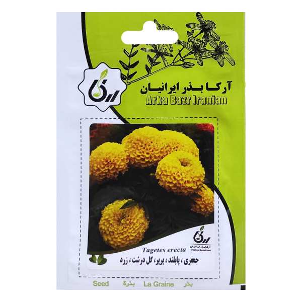 بذر گل جعفری پابلند پرپر گلدرشت زرد آرکا بذر ایرانیان کد ARK-012 بذر گل جعفری پابلند پرپر گلدرشت زرد آرکا بذر ایرانیان کد ARK-012