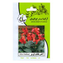 بذر گل اختر پابلند قرمز آرکا بذر ایرانیان کد 64-ARK