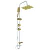 سر شیر آب ایران رعنا مدل Aerator Shower