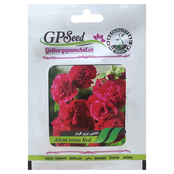 بذر گل ختمی پرپر قرمز گلبرگ پامچال کد GPF-245 بذر گل ختمی پرپر قرمز گلبرگ پامچال کد GPF-245