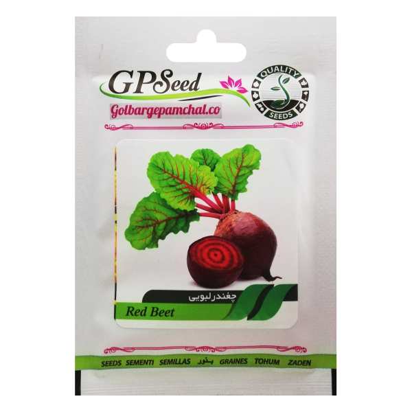 بذر چغندر لبویی گلبرگ پامچال کد GPF-116 بذر چغندر لبویی گلبرگ پامچال کد GPF-116