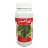 بذر گل سلوی مریم گلی پابلند قرمز آرکا بذر ایرانیان کد ARK-061 بذر گل سلوی مریم گلی پابلند قرمز آرکا بذر ایرانیان کد ARK-061