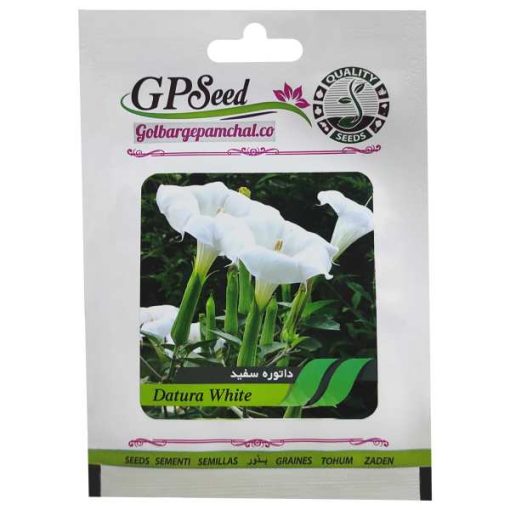 بذر گل داتوره پابلند سفید گلبرگ پامچال کد GPF-049