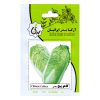 گیاه طبیعی رزماری کد yt40