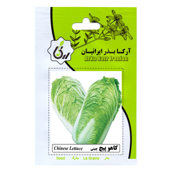 بذر کاهو پیچ چینی آرکا بذر ایرانیان کد ARK-181 بذر کاهو پیچ چینی آرکا بذر ایرانیان کد ARK-181