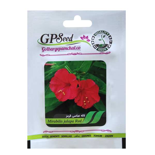 بذر گل لاله عباسی قرمز گلبرگ پامچال کد GPF-268 بذر گل لاله عباسی قرمز گلبرگ پامچال کد GPF-268
