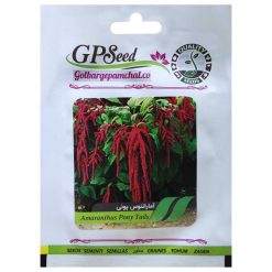 بذر گل آمارانتوس پونی گلبرگ پامچال کد GPF-231