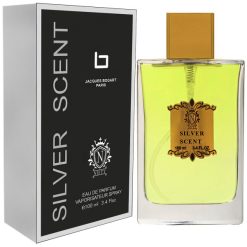 ادو پرفیوم مردانه نیفتی مدل SILVER SCENT حجم 100 میلی لیتر