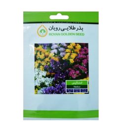 بذر گل استاتیس بذر طلایی رویان کد BZT-114