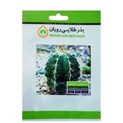 بذر کاکتوس آستروفیتوم اورناتوم بذر طلایی رویان کد BZT-121