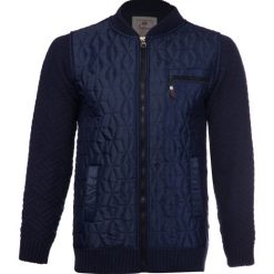 ژاکت مردانه رایکا کد 2165Db-001