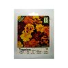 بذر خیار اصفهان گرین فارم کد 008 بذر خیار اصفهان گرین فارم کد 008