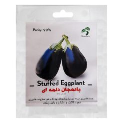 بذر بادمجان دلمه ای گرین فارم کد ZBP-34