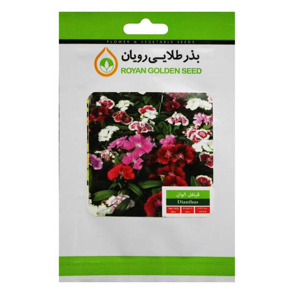 بذر گل قرنفل الوان بذر طلایی رویان کد BZTR-023 بذر گل قرنفل الوان بذر طلایی رویان کد BZTR-023