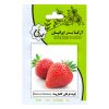 گلدان مدل GS-07 بسته 6 عددی گلدان مدل GS-07 بسته 6 عددی
