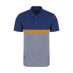 پولوشرت آستین کوتاه مردانه باینت کد 421-1