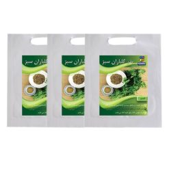 مجموعه بذر گشنیز گلباران سبز بسته 3 عددی