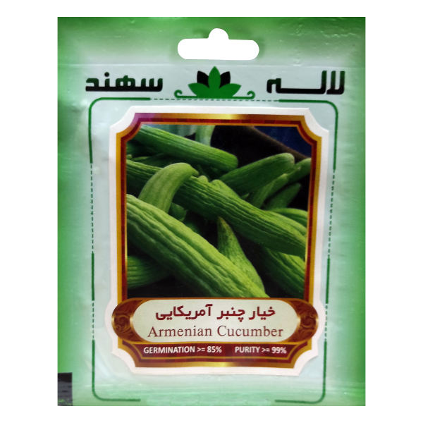 بذر خیار چنبر آمریکایی لاله سهند کد LSP-040 بذر خیار چنبر آمریکایی لاله سهند کد LSP-040