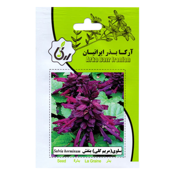 بذر گل سلوی مریم گلی بنفش آرکا بذر ایرانیان کد 89-ARK بذر گل سلوی مریم گلی بنفش آرکا بذر ایرانیان کد 89-ARK