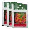 سری آبپاش روان ریز مدل RR-WS6 مجموعه 2 عددی