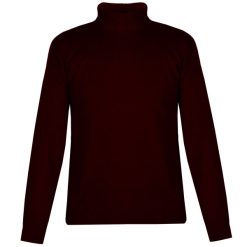 پلیور مردانه مدل یقه اسکی کد TN081 رنگ زرشکی تیره