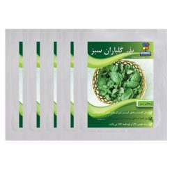 بذر ریحان سبز گلباران سبز مجموعه پنج عددی