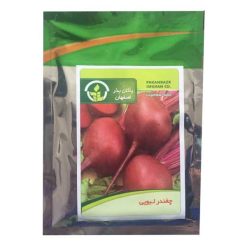 بذر چغندر لبویی پاکان بذر مدل PBF-37