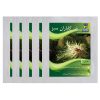 بذر گوجی بری سیاهآذر سبزینه مدل A200