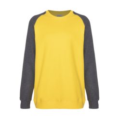 سویشرت مردانه ایزی دو مدل 2181119MC