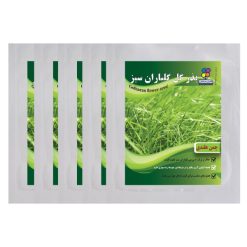 بذر چمن هلندی گلباران سبز بسته 5 عددی
