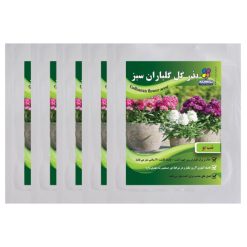 بذر گل شب بو گلباران سبز بسته 5 عددی