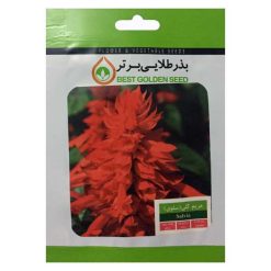 بذر گل مریم گلی ( سلوی ) بذر طلایی برتر کد BZT-18