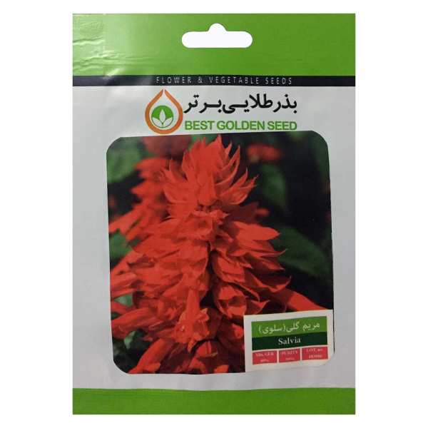 بذر گل مریم گلی ( سلوی ) بذر طلایی برتر کد BZT-18 بذر گل مریم گلی ( سلوی ) بذر طلایی برتر کد BZT-18