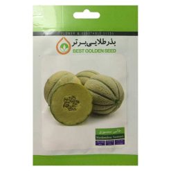 بذر طالبی سمسوری بذر طلایی برتر کد BZT-59
